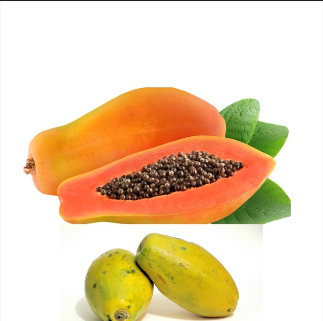papaya